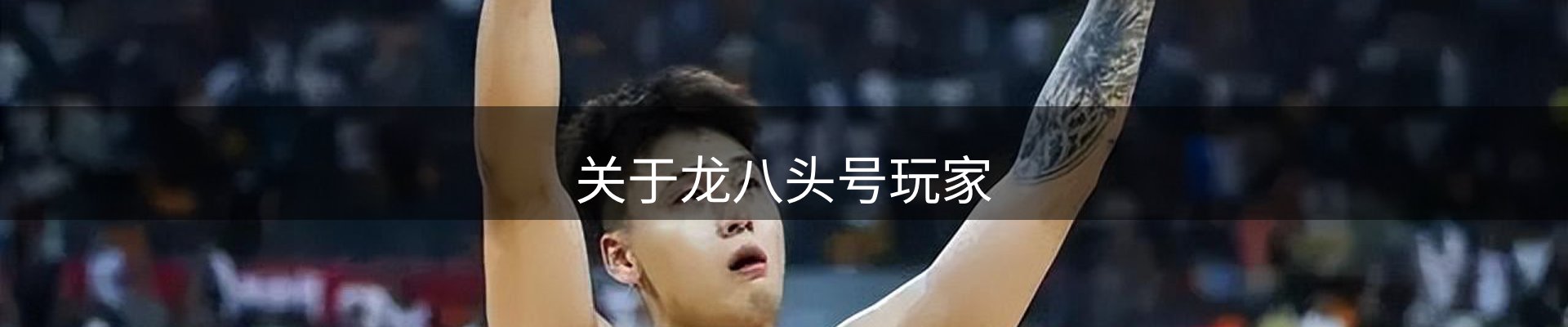 关于龙八头号玩家